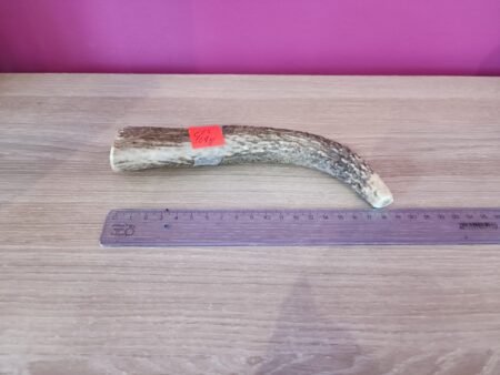 Edelhert hertengewei 169gr