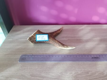 Hertengewei t-bone 167gr