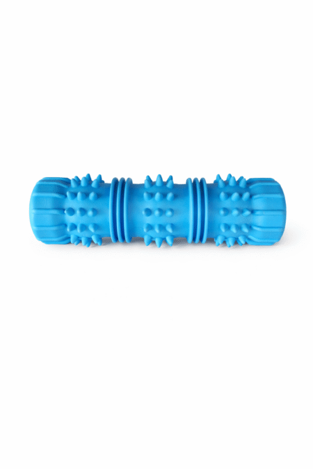 Kauwspeeltje blauw