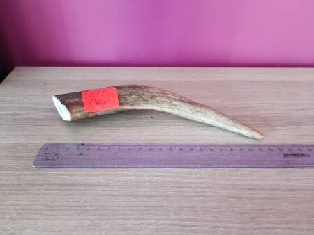 Edelhert Hertengewei 135gr