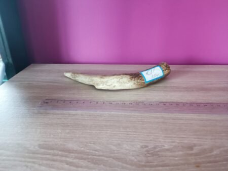 Hertengewei 117gr