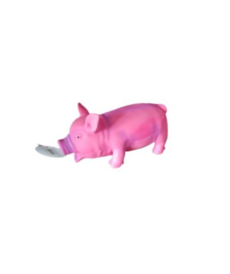 Latex varken 🐷🐷