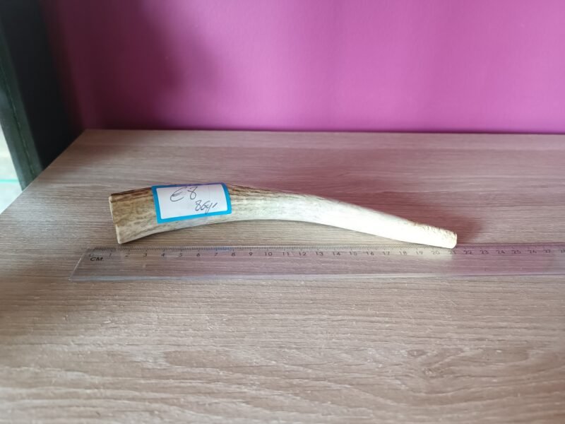 Hertengewei Tand 86 gr