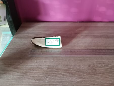 Hertengewei 69gr