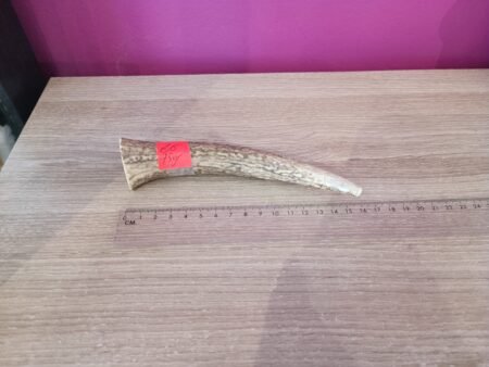 Edelhert Hertengewei voor kleine honden 75gr