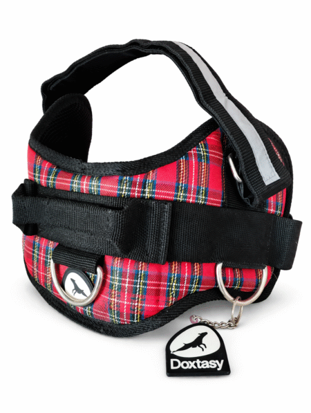 Doxtasy Harnas Tartan Red XL