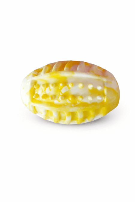 Rugbybal hondenspeeltje