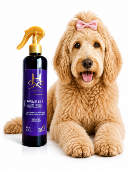 Hydra Forever Liss 450ml