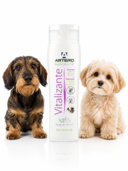 Artero Shampoo
