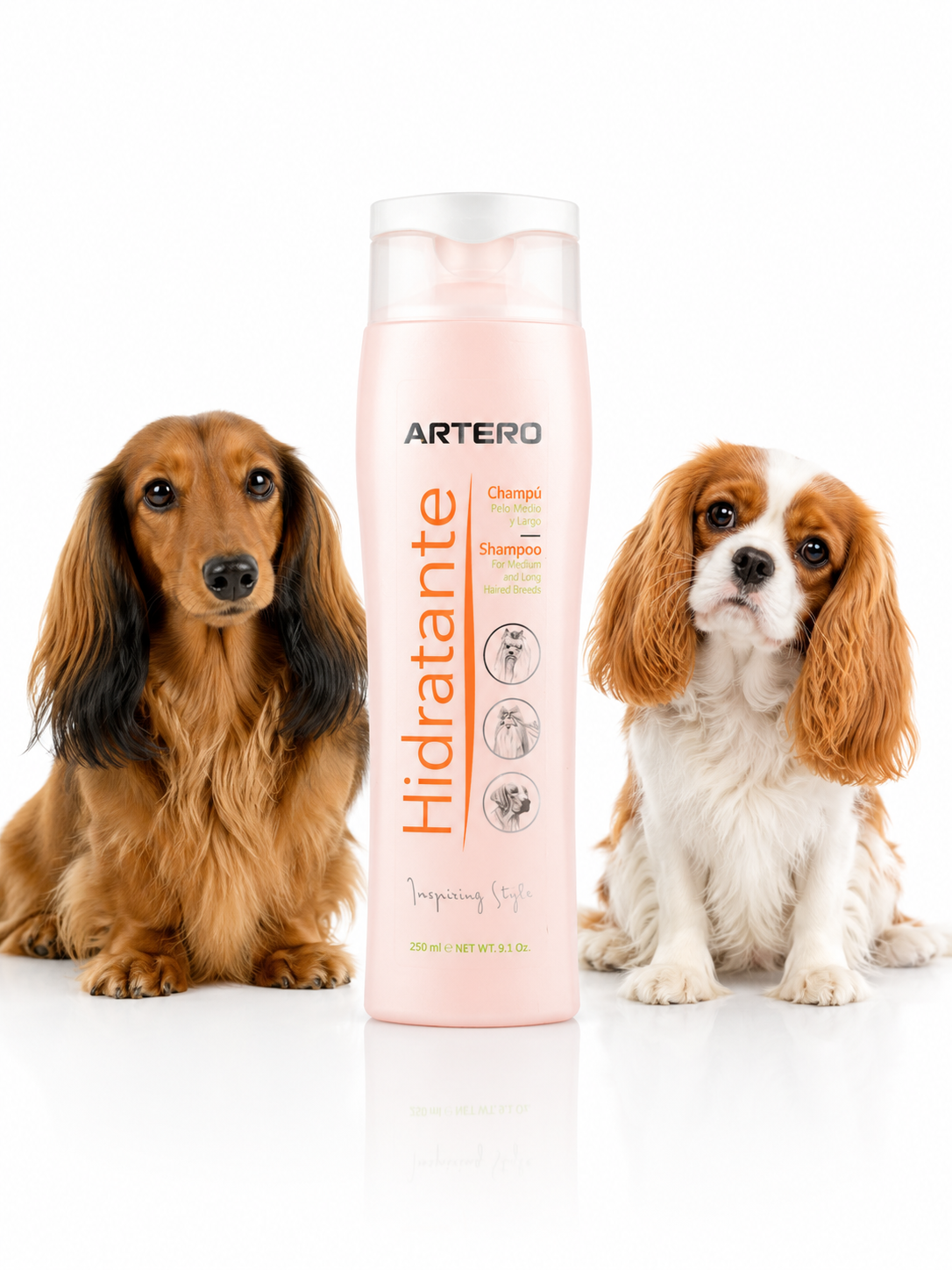 file_00000000998082469d8ea4e64cea13fc Artero Shampoo